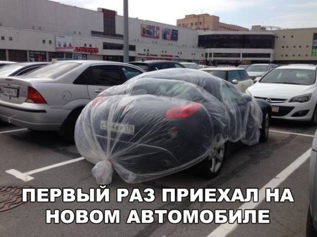 184 картинки для поднятия настроения!