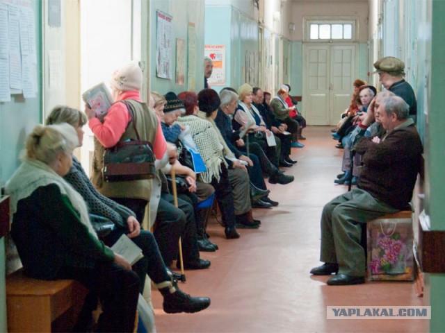 Самка рассуждает: "Мужчина должен..."