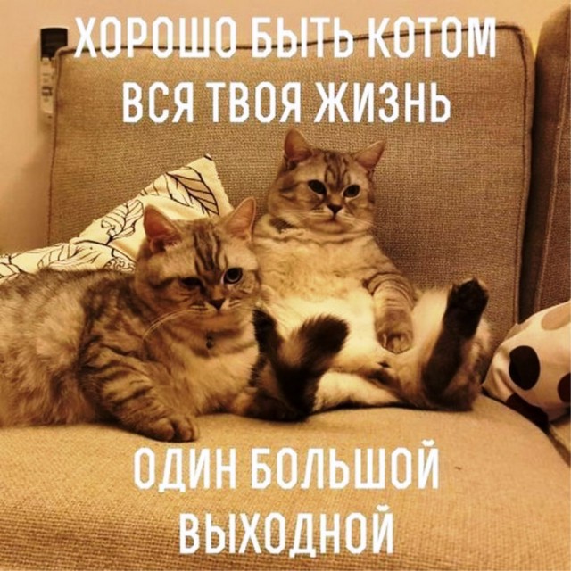 Подборка интересных и веселых картинок