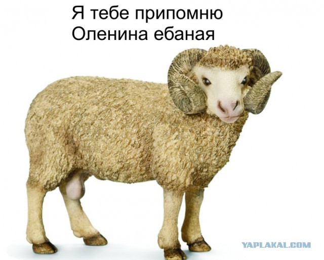 Белые начинают и проигрывают