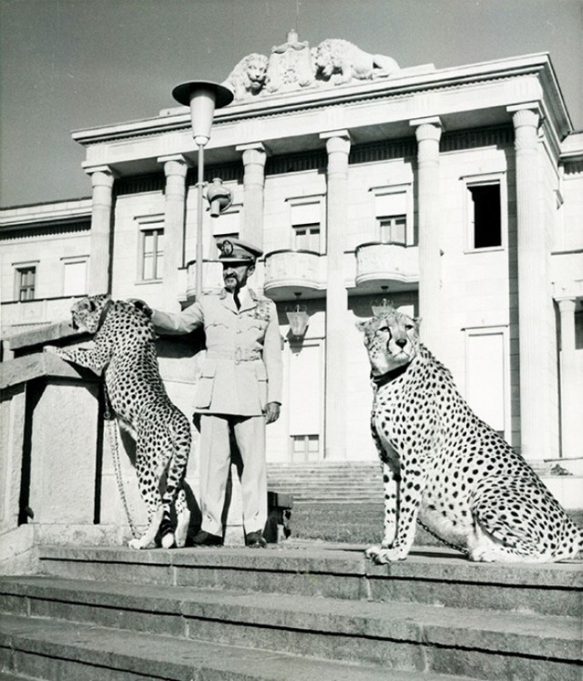История в фотографиях