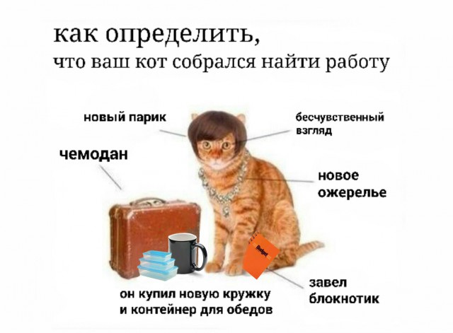 Рисованные киски