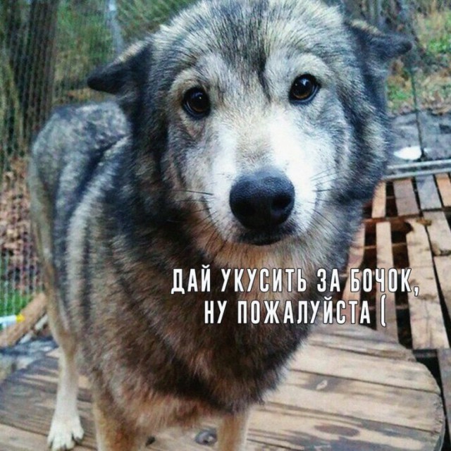 Немного картинок для настроения