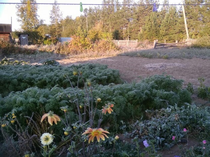 Каникулы в деревне