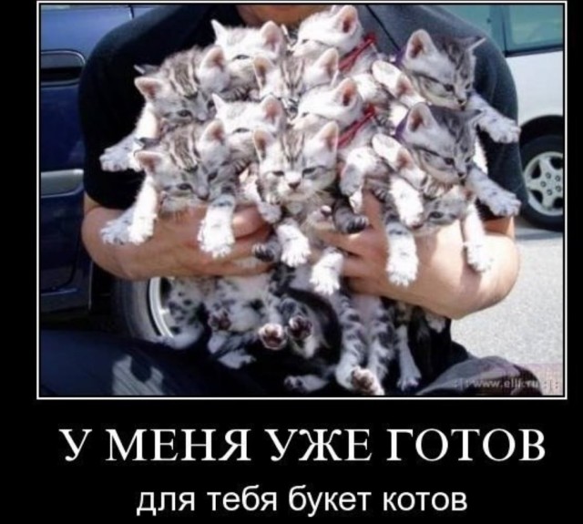 Картинки с претензией на юмор