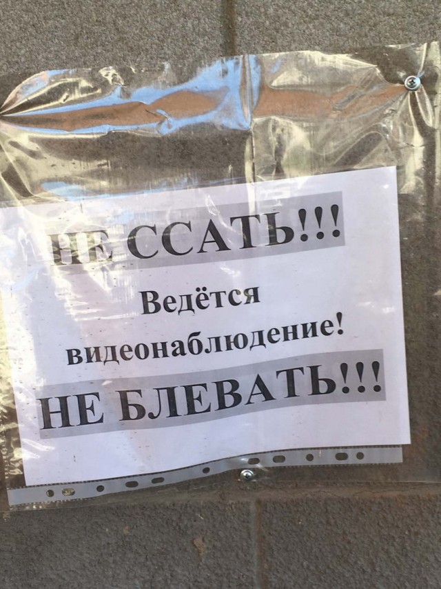 Чудеса рядом