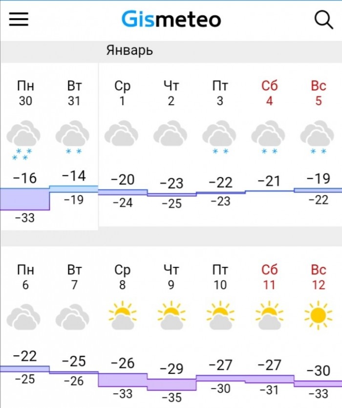Русская зима 2020
