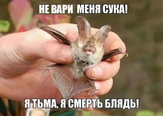 Немного картинок для настроения 27.04.20