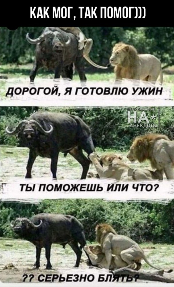 Немного картинок с текстом и без. 1.11.20
