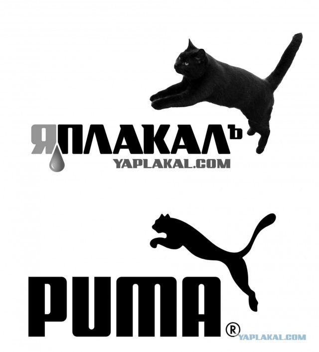 Гора бродячих японских котанов