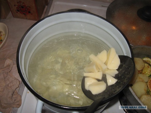 Все из рыбы!