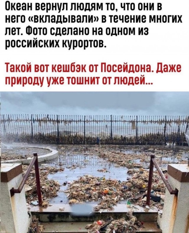 Кретинизмы из сети 16.08.2021