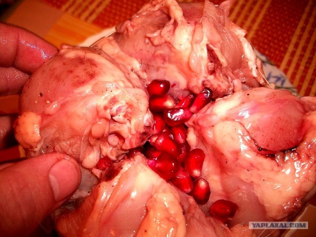 International одной книги., В память о Дженибеке.