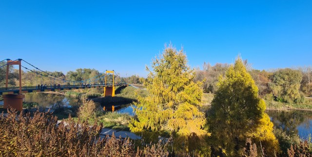 Моя мобильная фотография