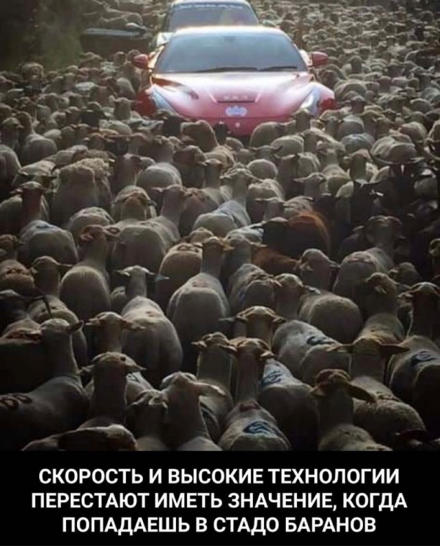 Картинки и мемы для настроения 02.11.2021