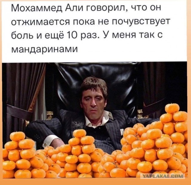 Веселые картинки и видосики