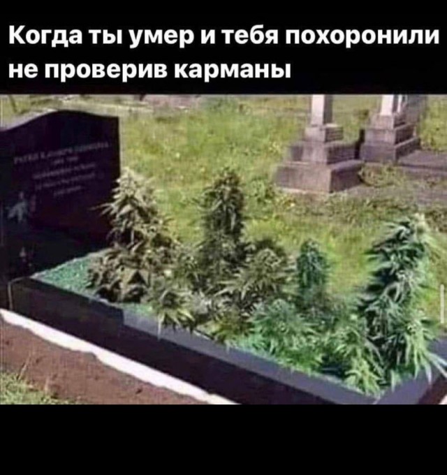 Картинки аморальные и всякие разные - 31