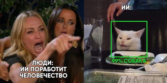 Пандемия съехавших крыш - разновидности болезни. Россия и мир. Часть 40.