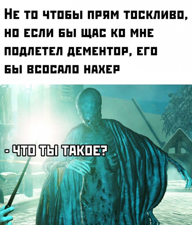 Весёлый полтишок 12.10.22