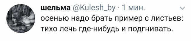 Воскресное похмелье баяном не испортишь