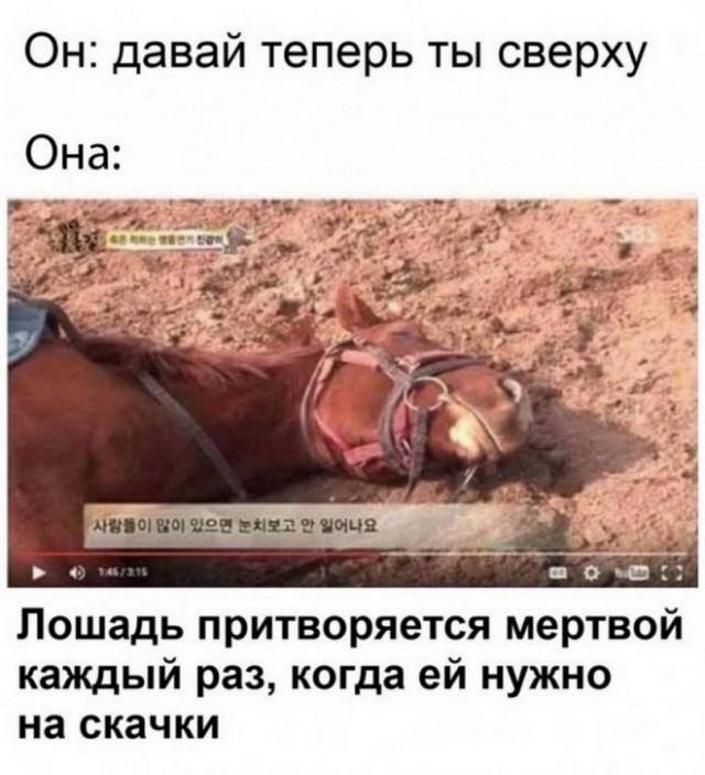 Картинки и мемы для настроения - 119