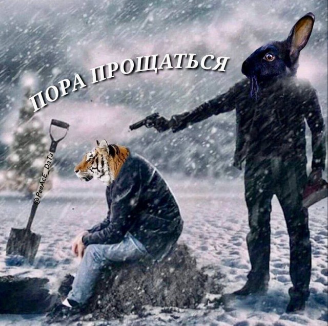 Народная меДИЧина 5024