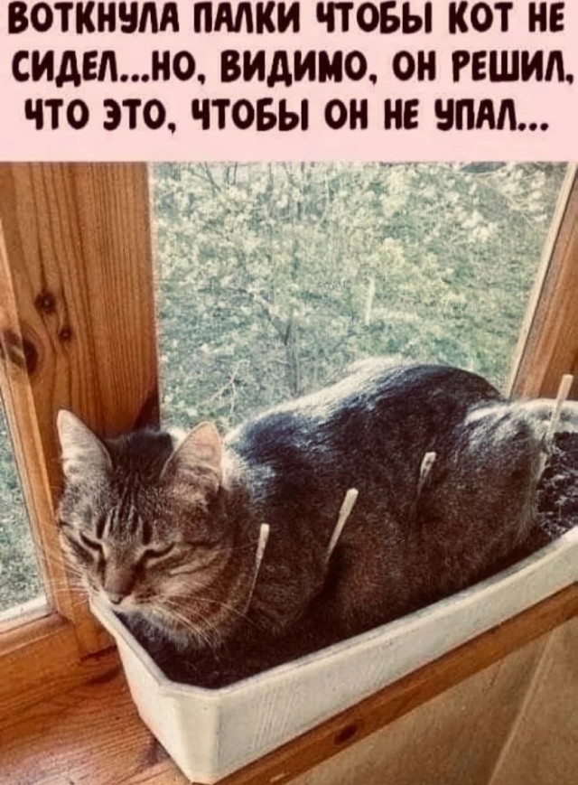 Немного картинок и прочей хреноты Vol. 21