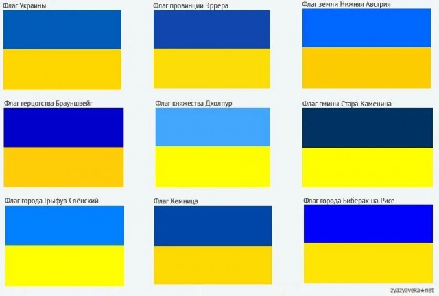 Дачник натравил на петербуржца силовиков из-за сине-желтой крыши