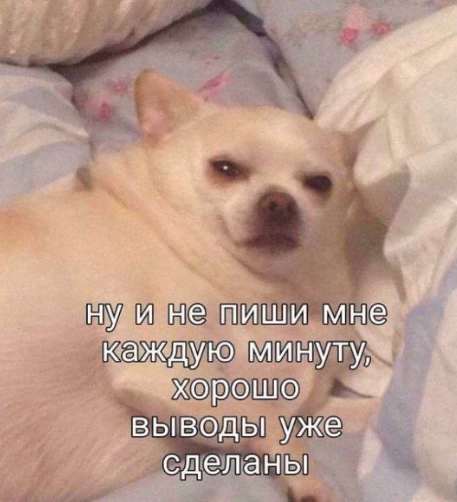 Всего понемногу, от 21.05