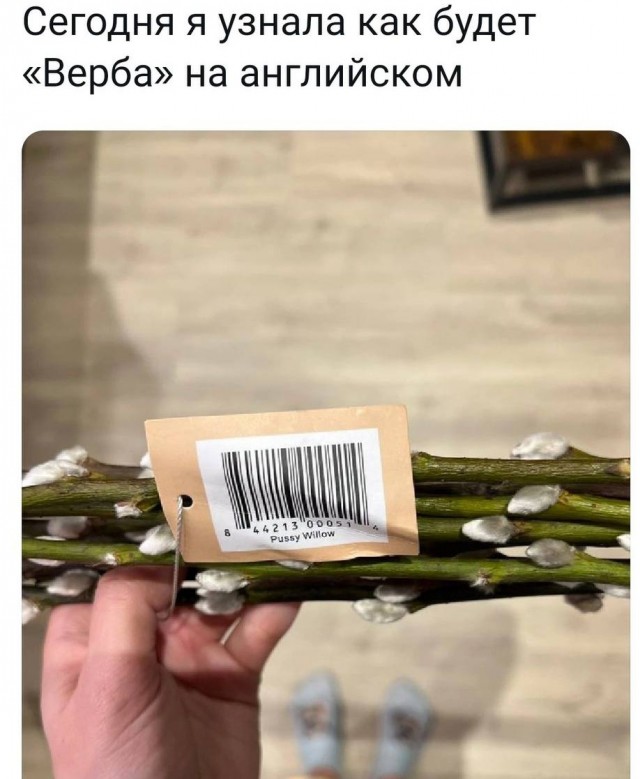 Народная меДИЧина 4005