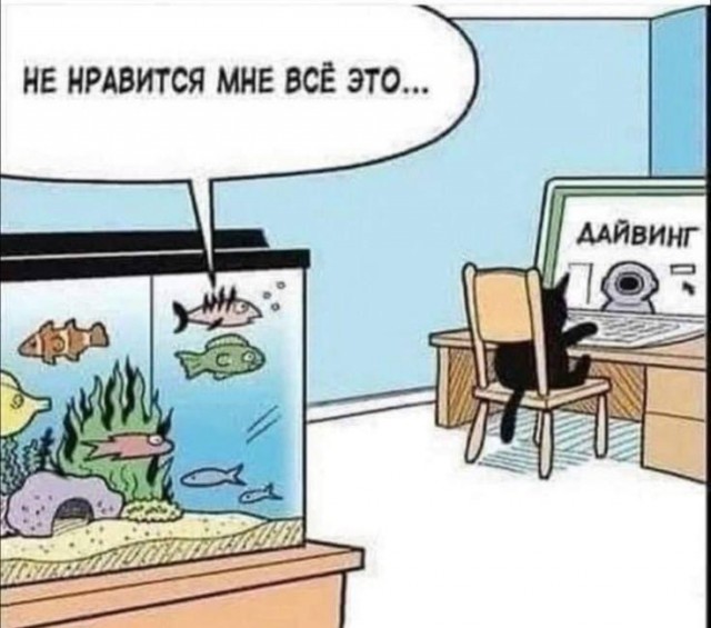 Завершаем рабочую неделю под бояны