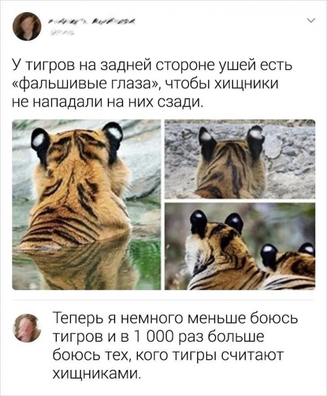 Маленькая пятница.