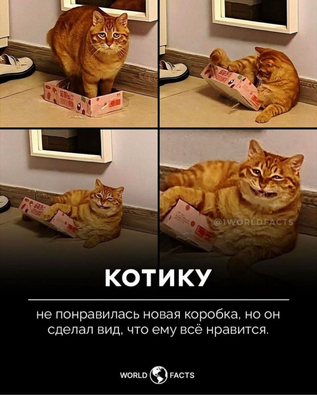 Отряд быстрого деградирования