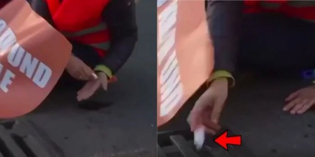 Нет существа двуличнее на свете, чем экоактивист в неотапливаемой квартире
