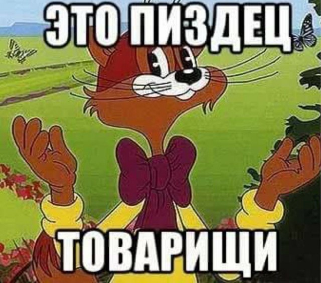 Соц. сети и беременность