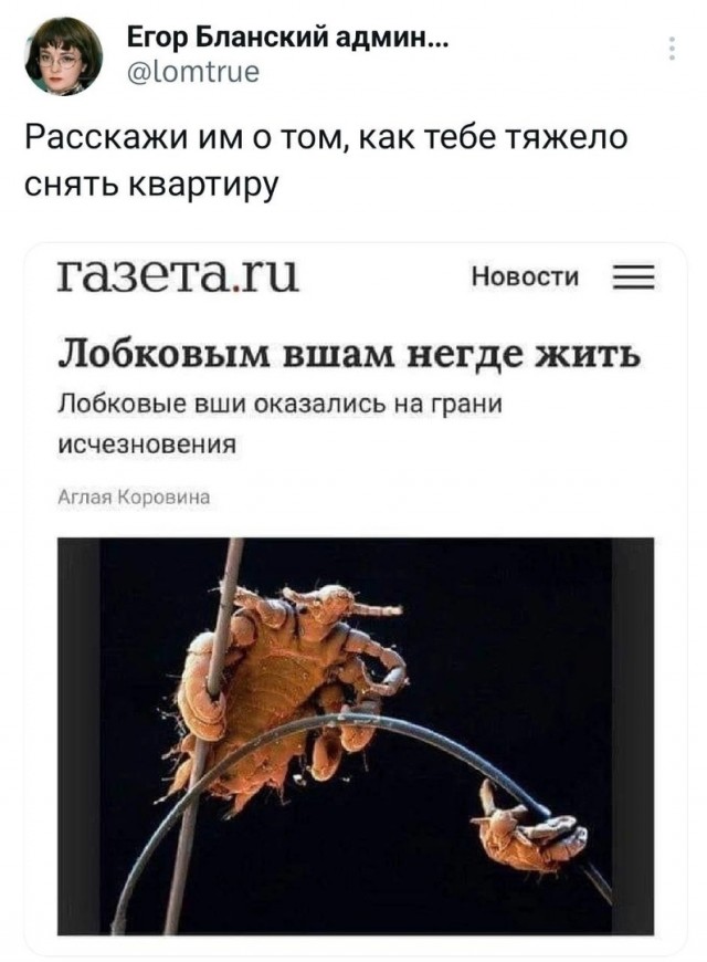 Так себе картинки 19.02.24
