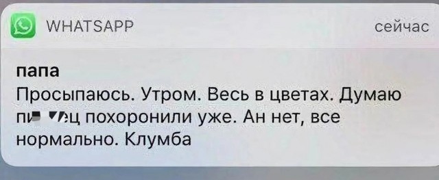 Так себе картинки 12.05.24