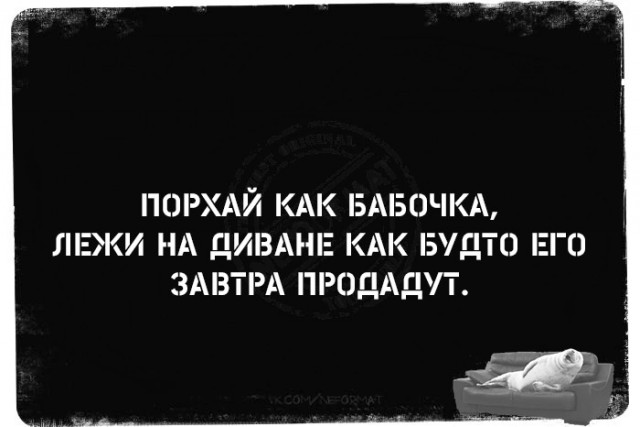 Всего понемногу. От 24.06.2024