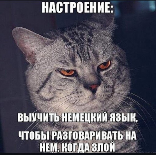 Картинки разные с надписями и без