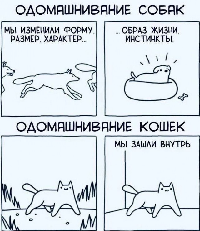 Картинки разные с надписями и без
