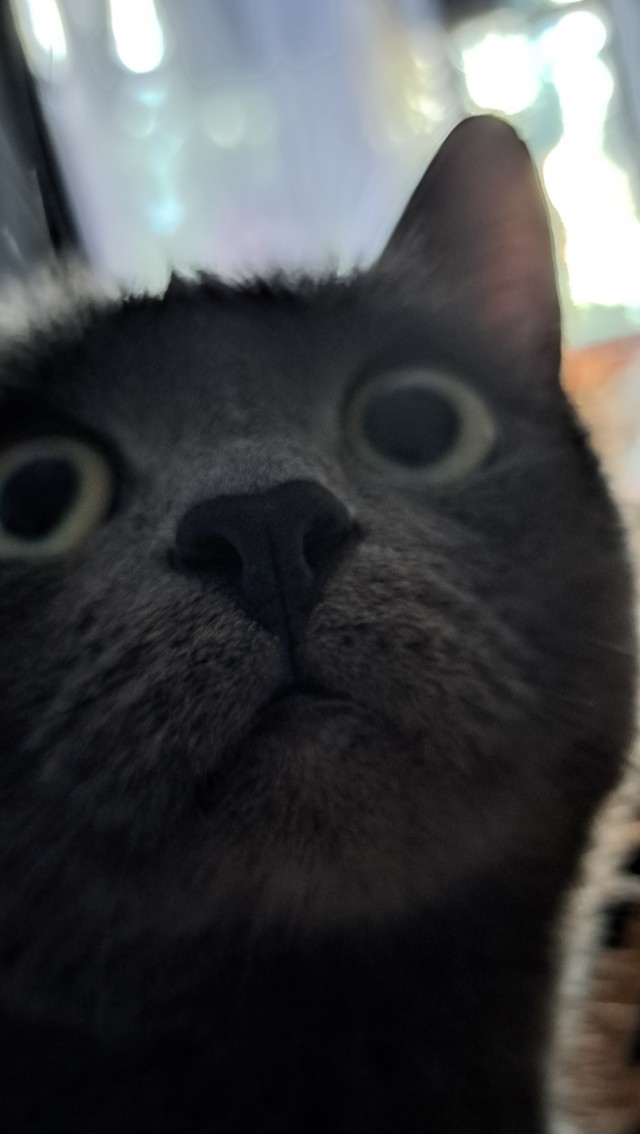 Нос