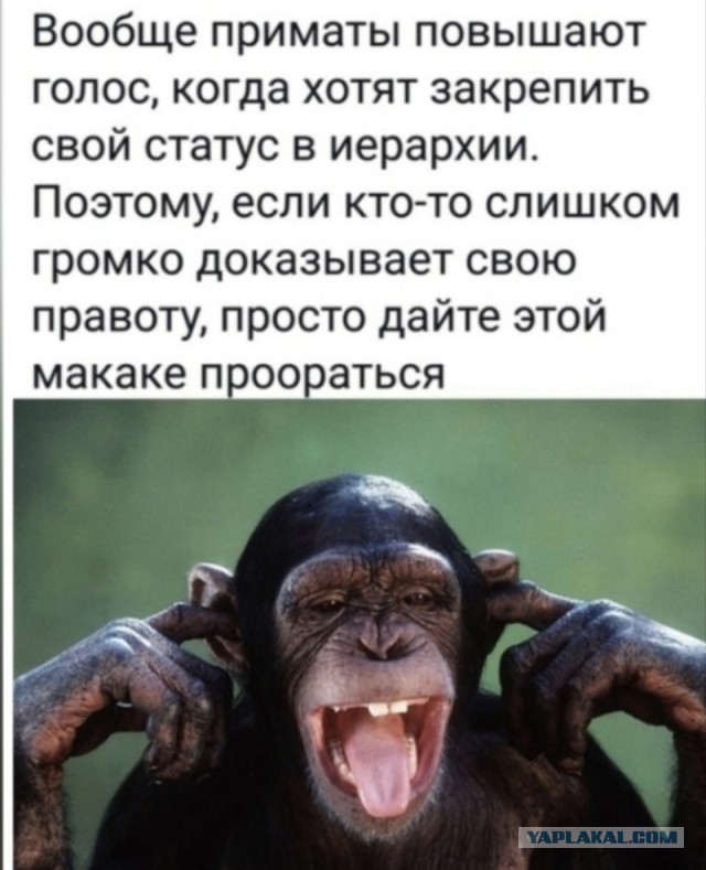 Нуштош 08.08.2024