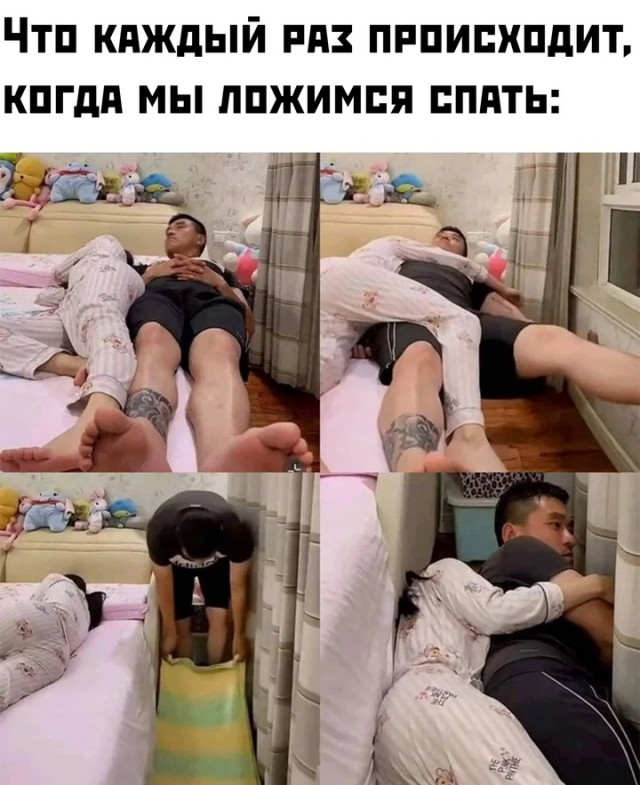 Весёлый полтишок 14.10.2024