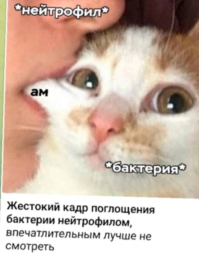 Так себе картинки 23.10.24