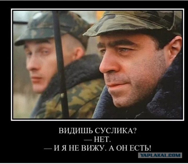 Вот это хищник! 13 гениев маскировки и обмана из мира дикой природы