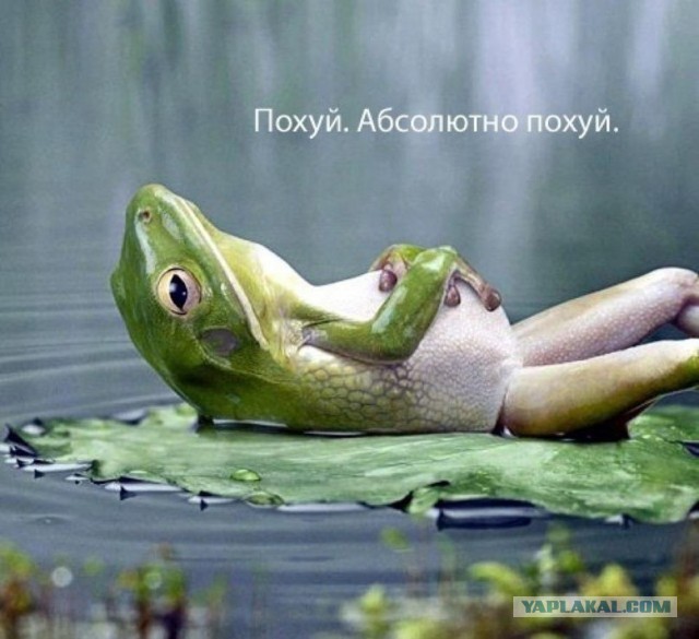 Битва экстасенсов
