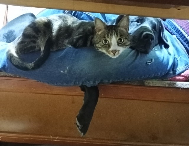 Среда, четверг.