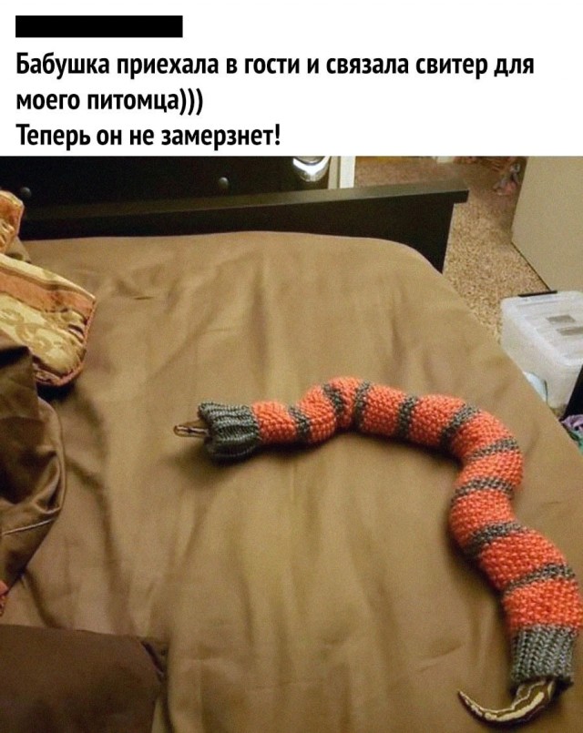 Так себе картинки 26.02.25