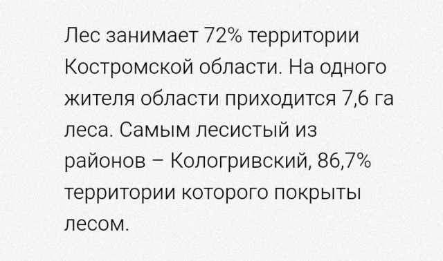 Кострома. Уничтожение леса!