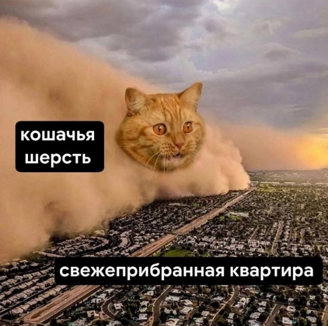 Завалялось тут случайно немного забавных картинок
